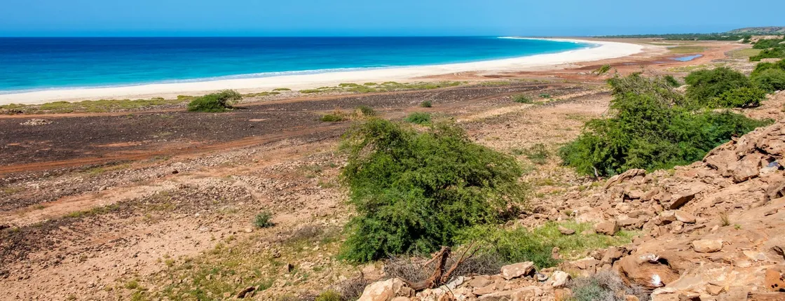 Adults-only Boa Vista 4x4 island adventure with local guide