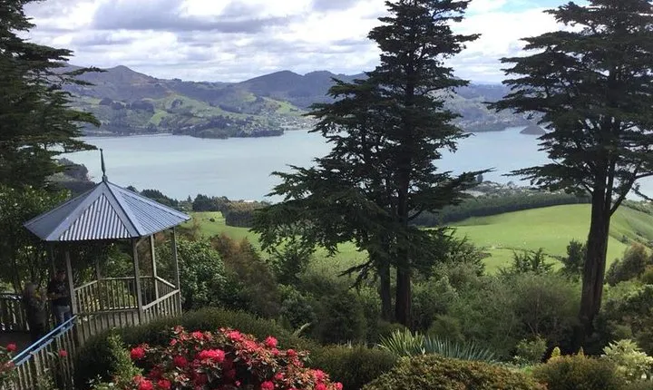 Shore Excursion: Dunedin City, Otago Peninsula, Castle Gardens & Olveston Tour