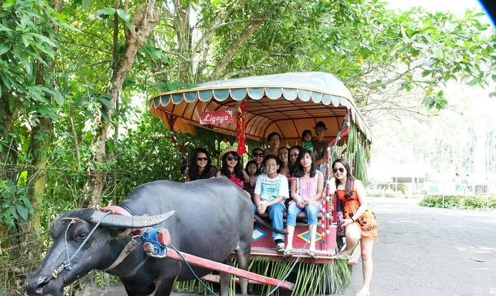 Villa Escudero Coconut Plantation Day Trip from Manila