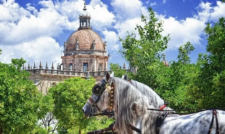 Jerez de la Frontera History and Art Walking Tour