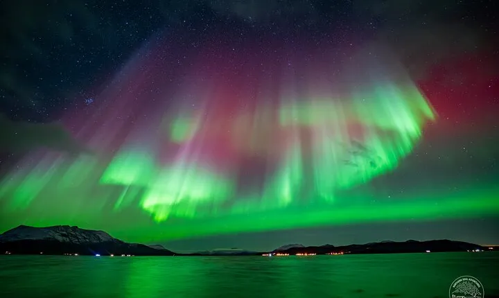 "a journey in search of the Northern Lights" | Photography