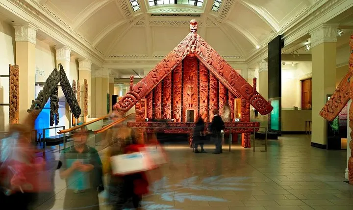 The best of Auckland city walking tour 