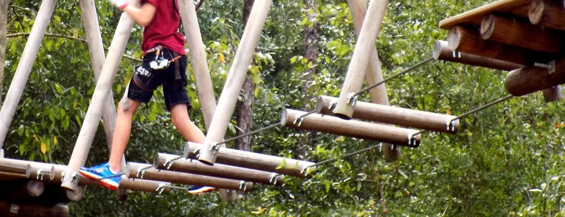 Tickets to Tree Trek Orlando
