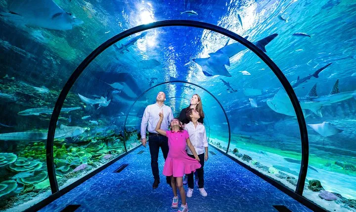 The National Aquarium Abu Dhabi Ticket