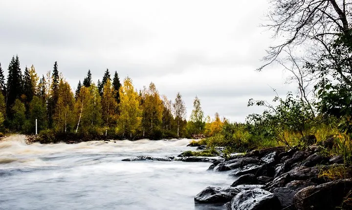 Explore the Wilderness (Summer & Autumn)