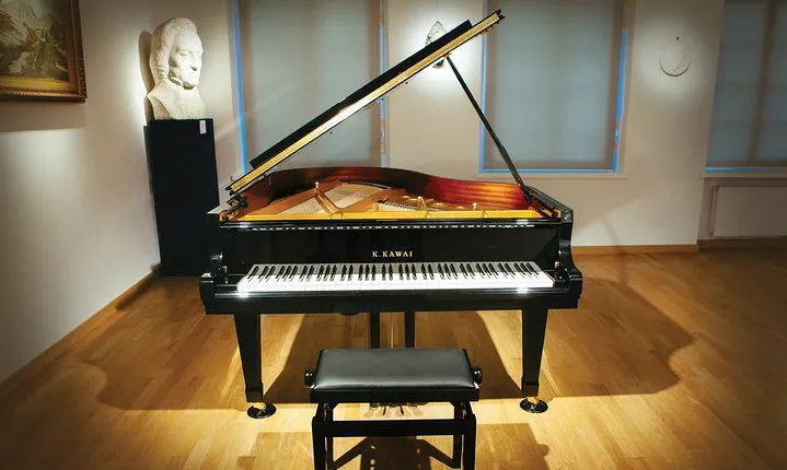 Daily live piano Chopin's concerts at 6:30 pm in the Warsaw Archdiocese Museum