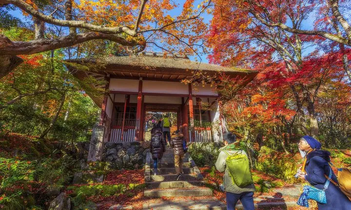 Private Round Transfer to Fragrant Hill and Botanical Garden