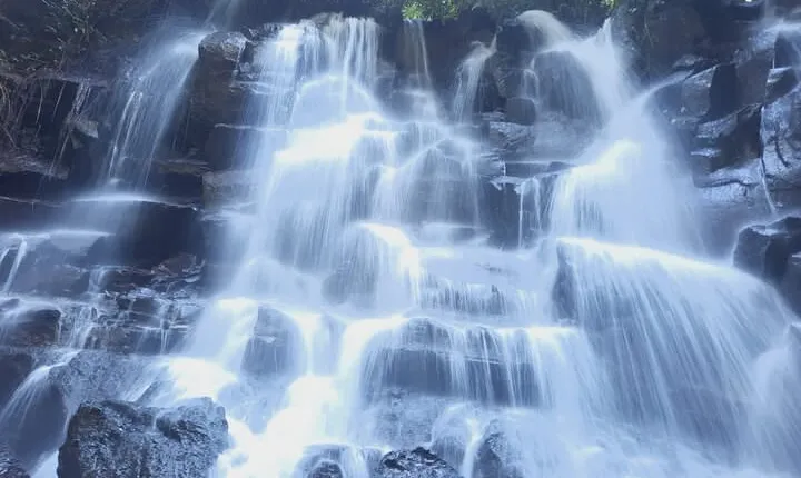 Trekking and Tegallalang Rice Terace Field Including Cascade Waterfall Tour
