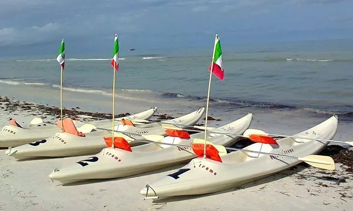 Mangroves Paddling tour
