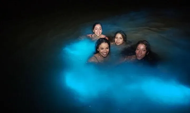 Bioluminescent Private Night Tours From Montego Bay