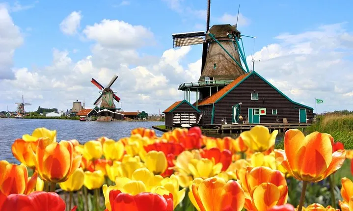 Brussels: Full Day Guided Holland Keukenhof & Windmills Tour