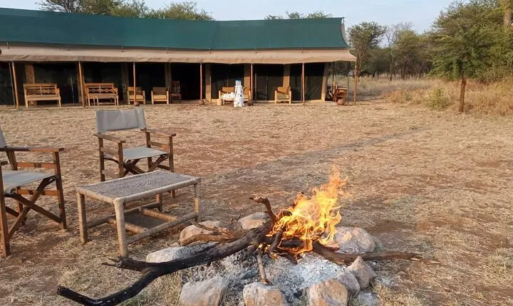 Camping Safari Great Adventure - 5 Day