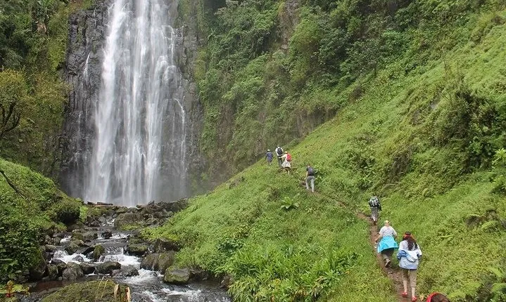 3 Days Tour to Tarangire, Ngorongoro and Materuni