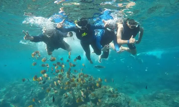 Private Small Group Snorkeling and West Nusa Penida Tour All Inclusive from Bali