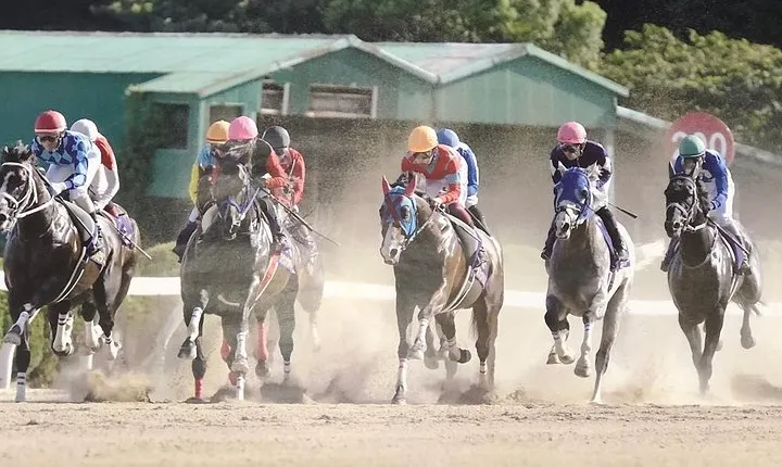 A tour to enjoy Japanese official gambling (horse racing, bicycle racing, pachinko)