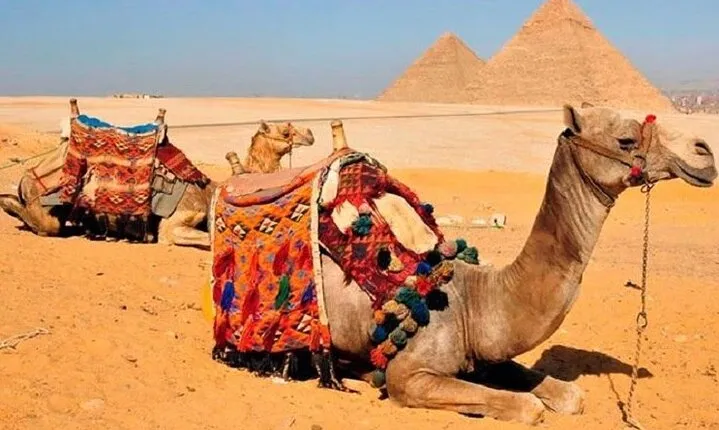 Unique Ancient Egypt, trip to Cairo, Pyramids, Sphinx, Museum