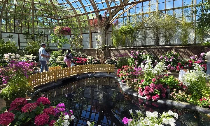Lincoln Park Nature Museum & Zoo Private Walking Tour 