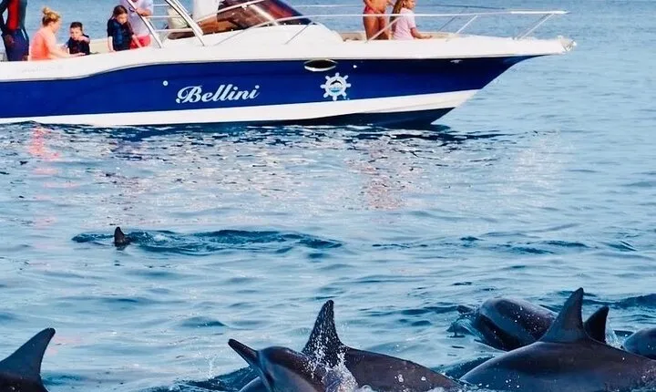 Fully Day Tour: Dolphin Encounters, Crystal Rock at Benitiers Island
