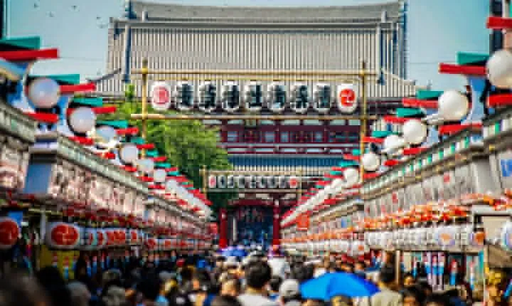 Tokyo Full Day Tour with Licensed Guide and Vehicle from Yokohama