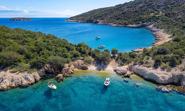 Private Half Day Boat Trip to Plavnik Island
