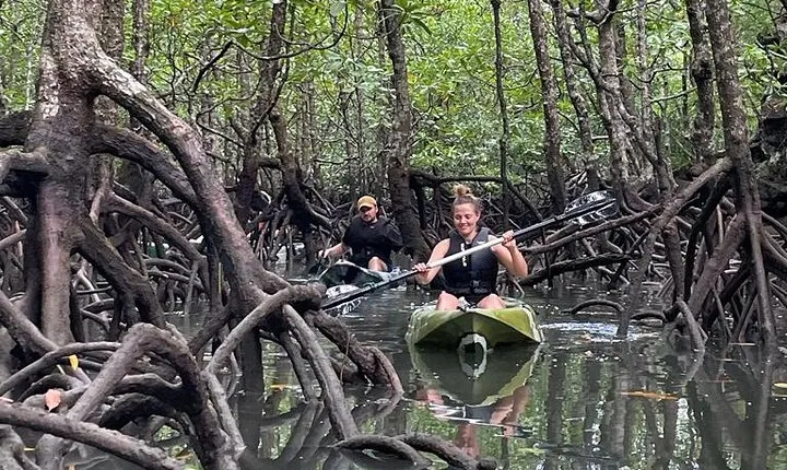 Half-Day Geopark Mangrove Kayaking Adventure