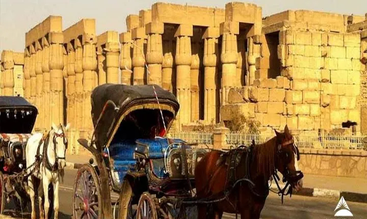Aswan City Tour by Horse Carriage