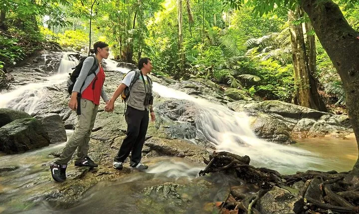 Cultural & Nature Escape: Batu Caves and FRIM UNESCO Rainforest