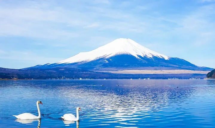 Full Day Tour at Mt. Fuji, Onsen, Lake Kawaguchi and Yamanaka