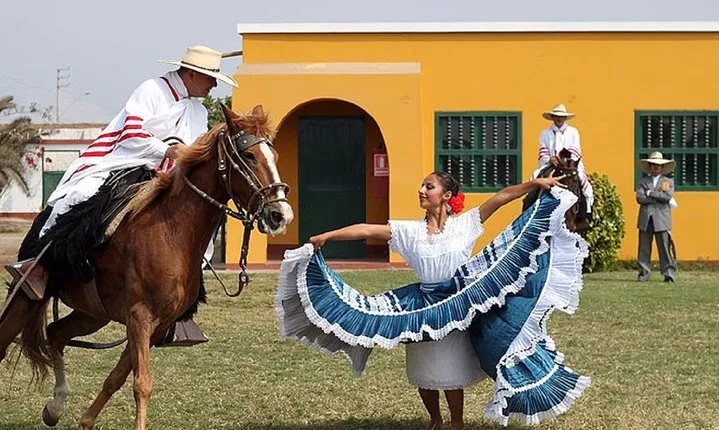 Show of Peruvian Paso Horse & Marinera with lunch