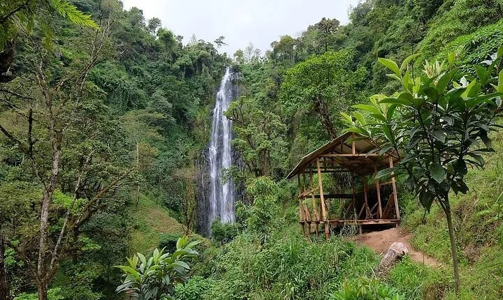 Materuni Waterfalls and Kikuletwa Hot Springs Tour