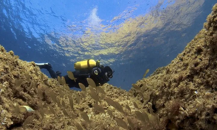 Diving baptism in the Marine Reserve of Cabo Tiñoso
