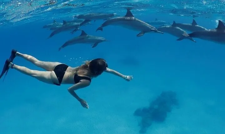 Dolphin House Snorkeling Sea Trip Ultimate Adventure - Hurghada