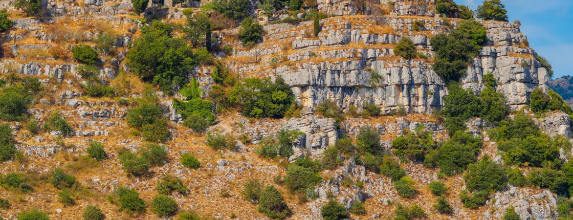 Private tour of Monaco & perched Medieval villages
