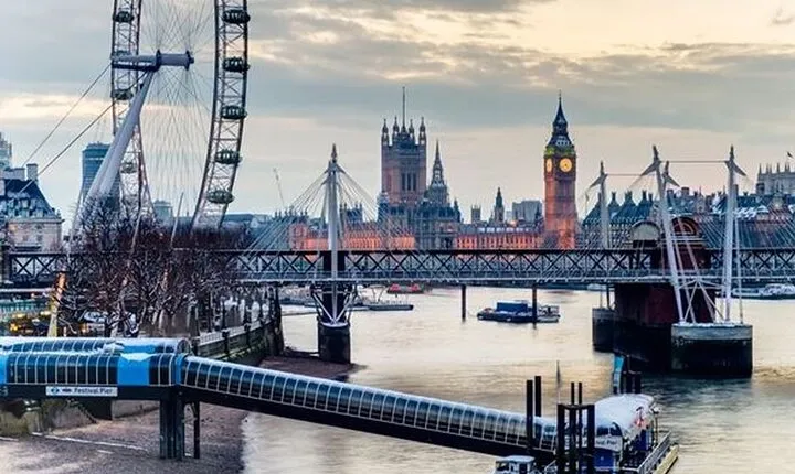 See 40+ London Sights Walking Tour. Local Guide (Private Group)