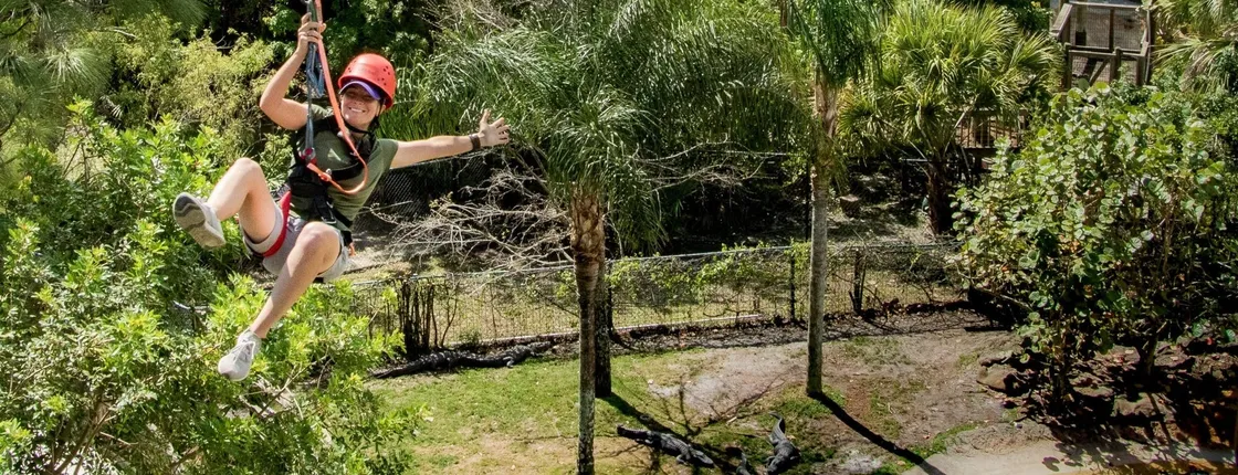 Screamin' Gator Zipline and Gatorland combo admission