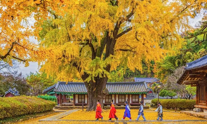 Private Jeonju Hanok Village - Culinary tour