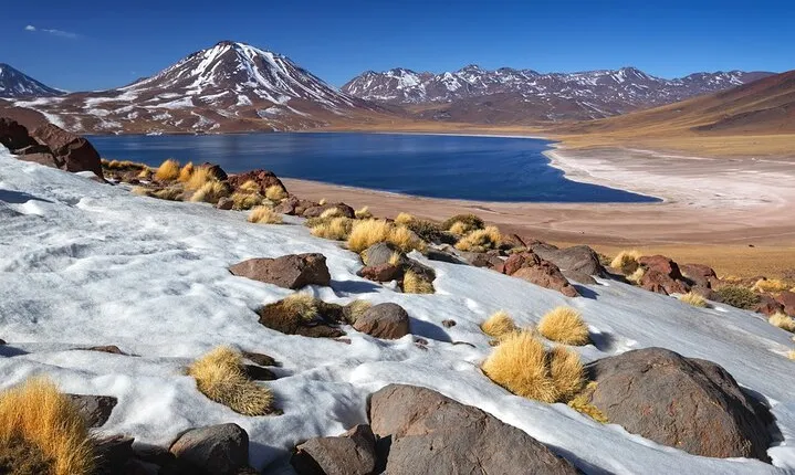 1-Day Tour Altiplanic Lagoons and Piedras Rojas and Laguna Chaxa