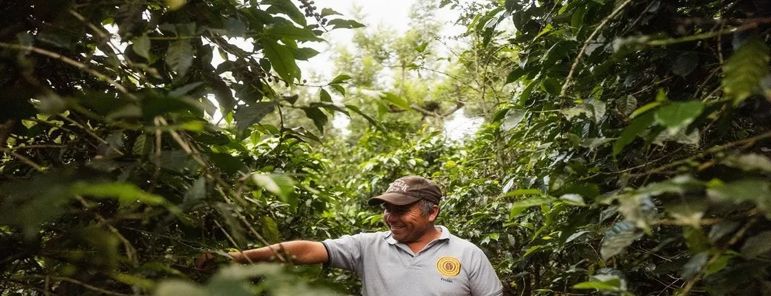 Coffee farm guided tour