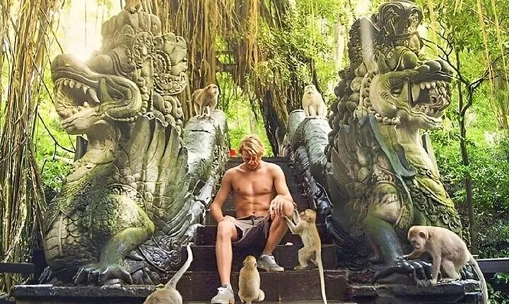 Ubud Day Tour - Monkey Forest, Rice Terraces, Temple & Waterfall