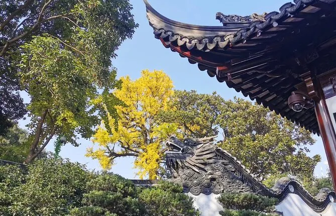 Shanghai All-you-need-to-see 1 Day Private Tour
