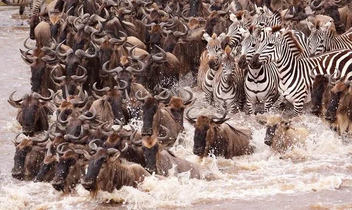 11 Days / 10 Nights Join group safari