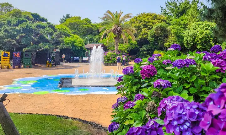 Jeju East Hydrangea Tour with UNESCO site