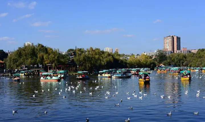 1-Day Panorama Tour in Kunming