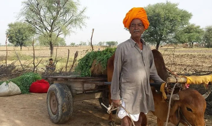 12 Days Heritage of Royal Rajasthan Tour with Golden Tringle