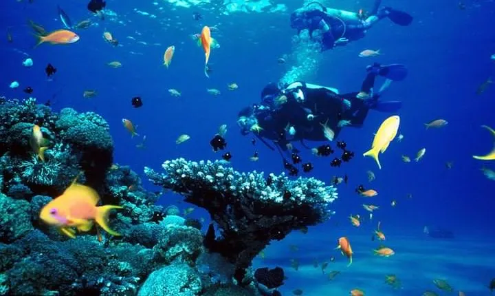 Full-Day Beginner Scuba Course with Private Tuition, Racha Yai