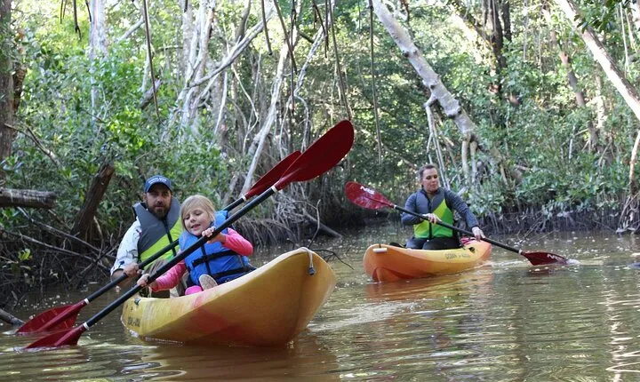 Everglades Kayak & Canoe Rentals