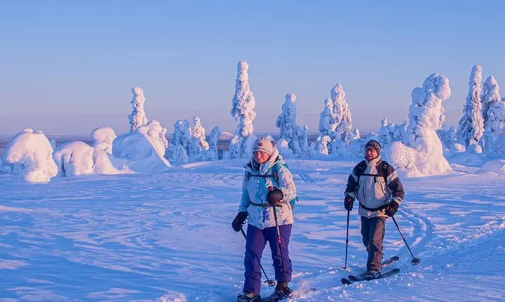 Private Snowshoe or Ski Adventure in Lapland from Rovaniemi