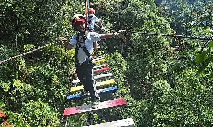 Extreme sports - macadamia forest adventure