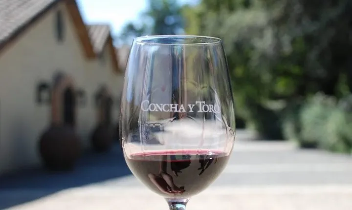 Concha y Toro Vineyard