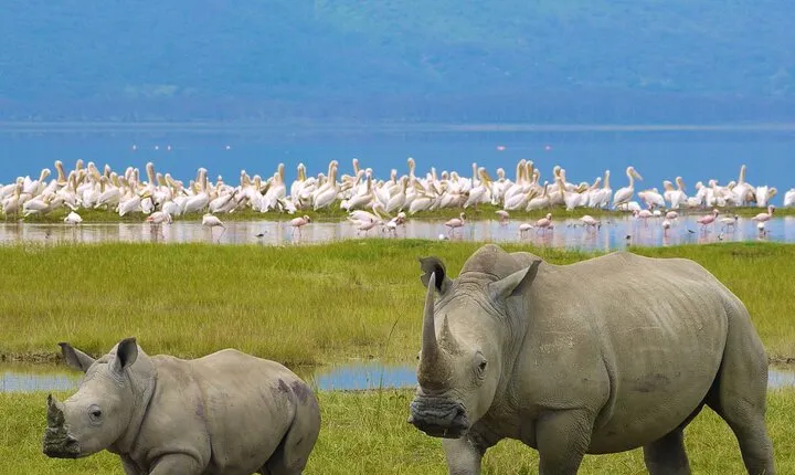 4 Days Private Camping Safari